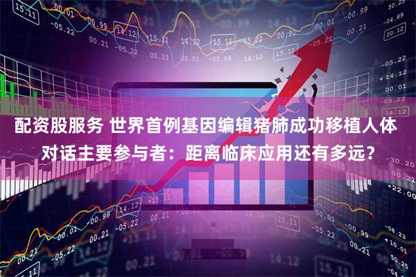 配资股服务 世界首例基因编辑猪肺成功移植人体 对话主要参与者：距离临床应用还有多远？